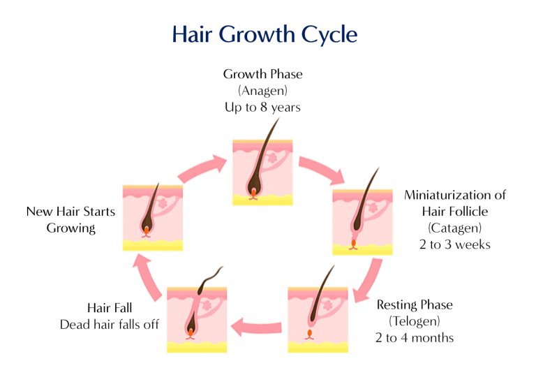 Hair Loss Treatment In Singapore - Dream Plastic Surgery