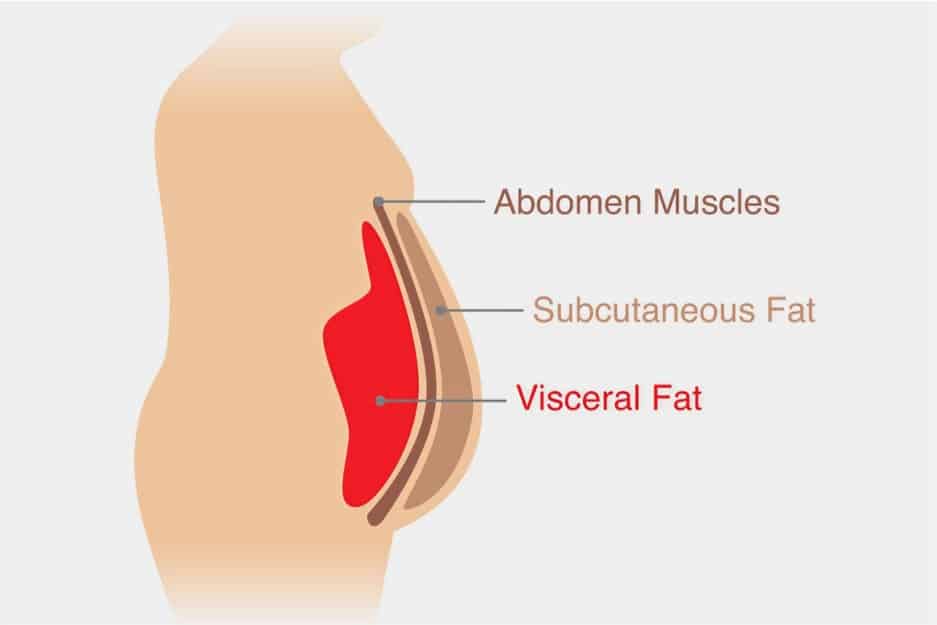types of fat in our body