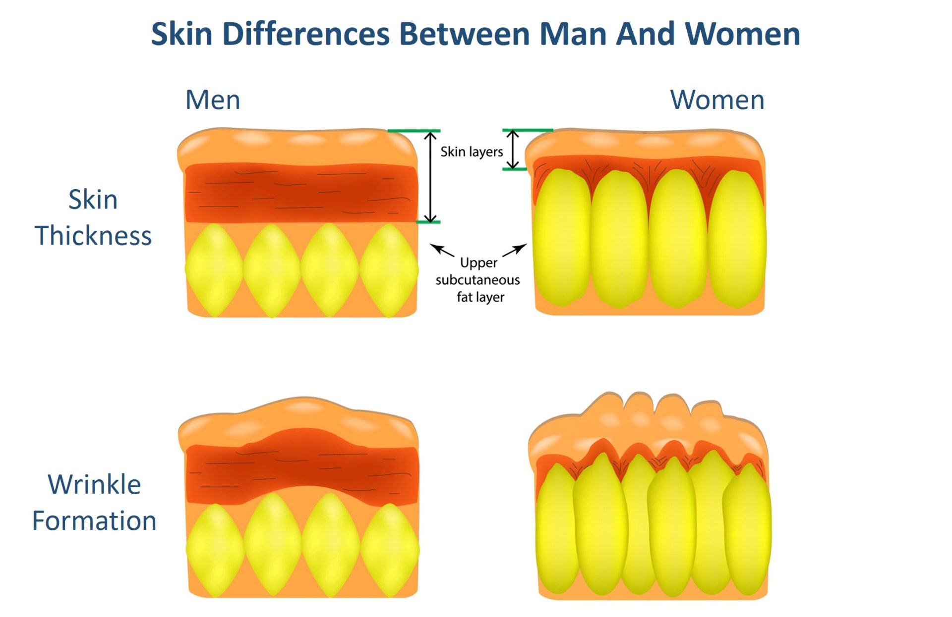 skin differences between men and women