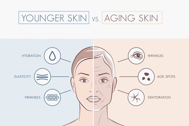 signs of skin aging