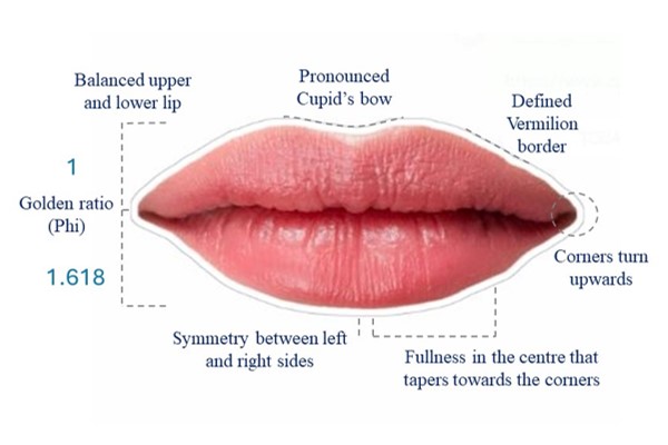 Image of a Golden Ratio Lip