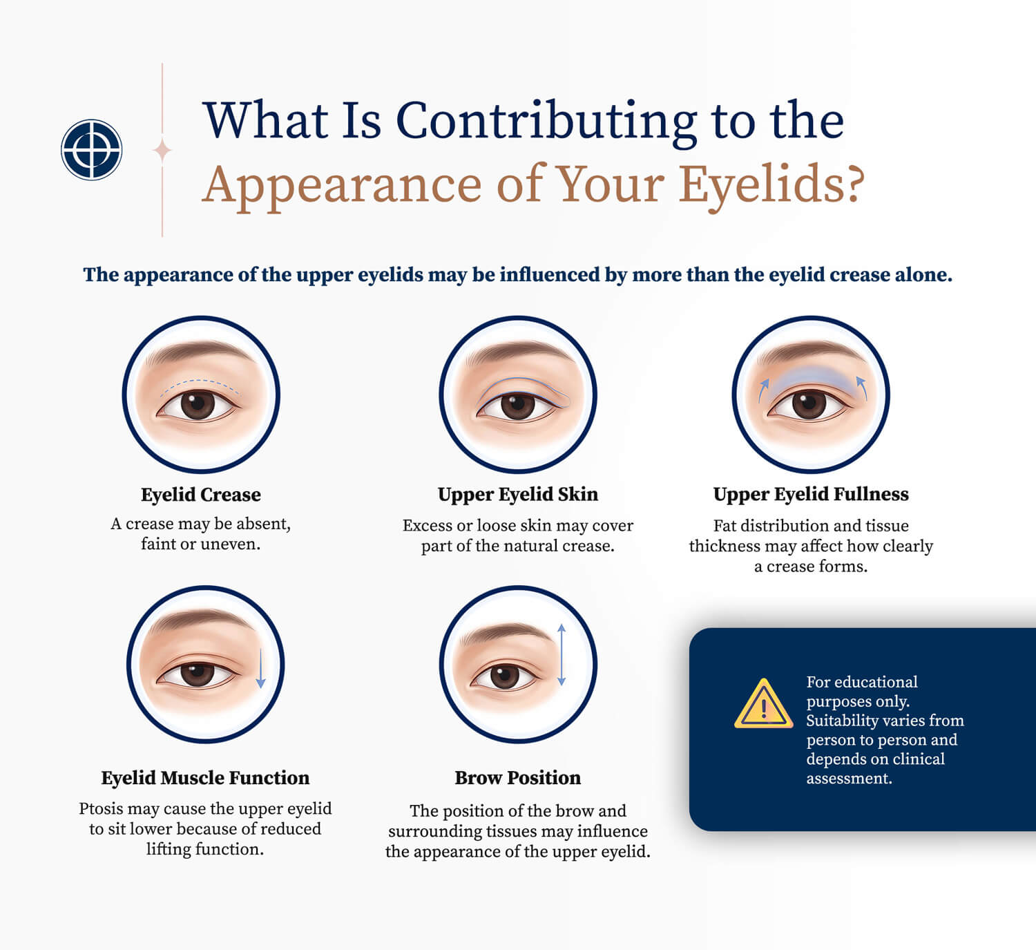 what-is-contributing-to-the-appearance-of-your-eyelids-img