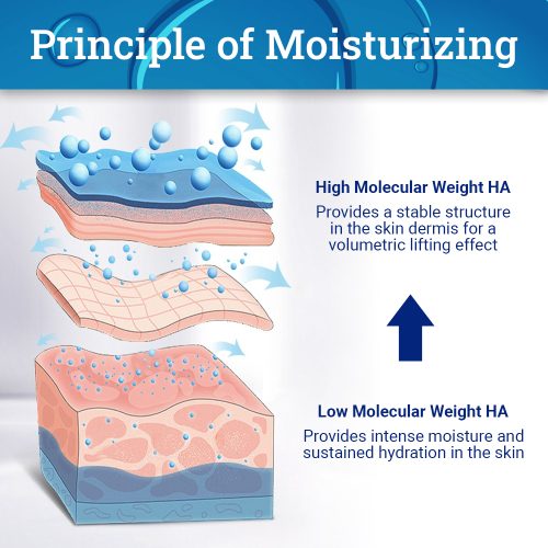 Principle of Moisturizing